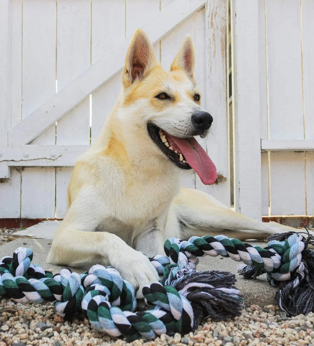 Giant Dog Rope Toy for Dogs for Aggressive Chewers