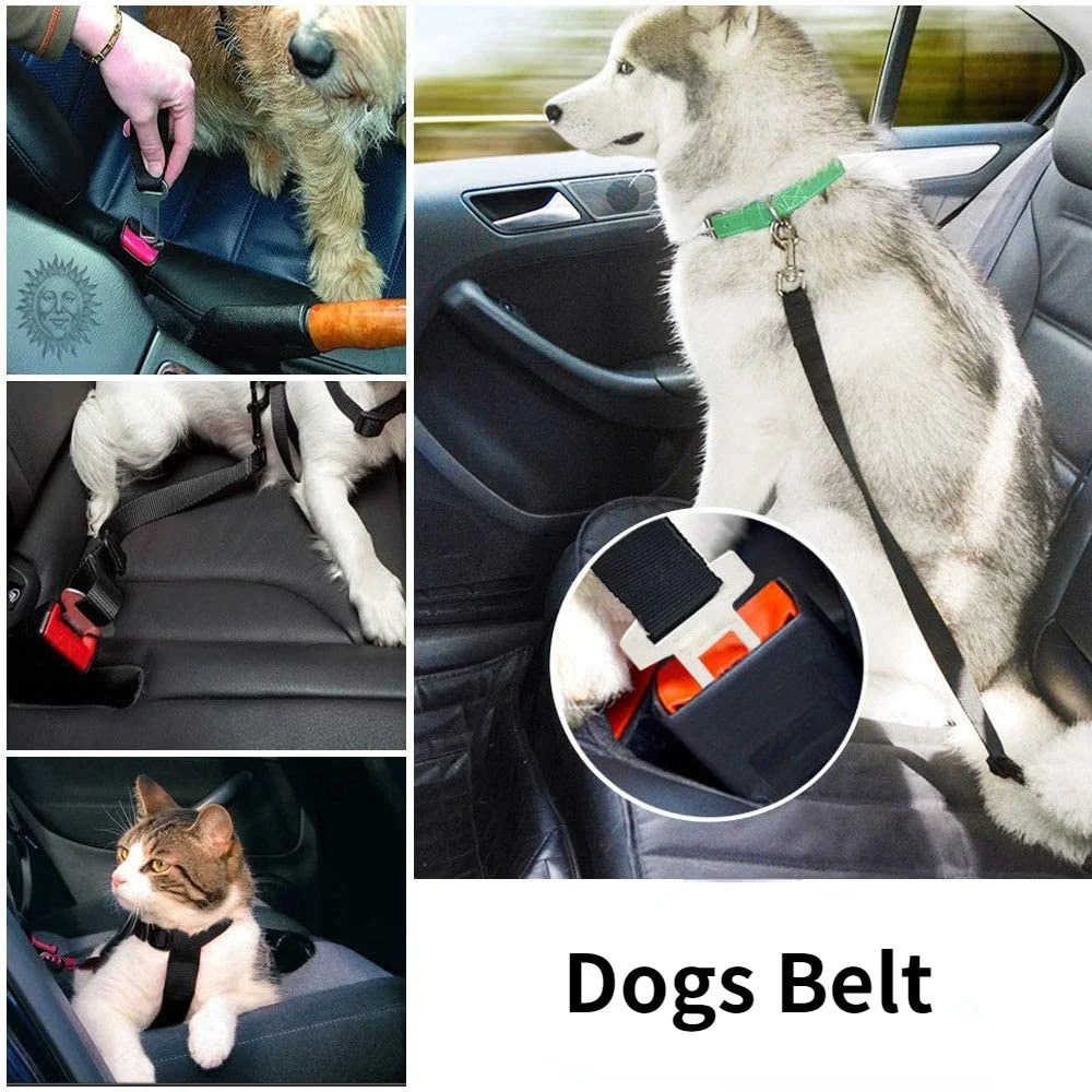 Cat Dog Car Safety Seat Belt Vehicle