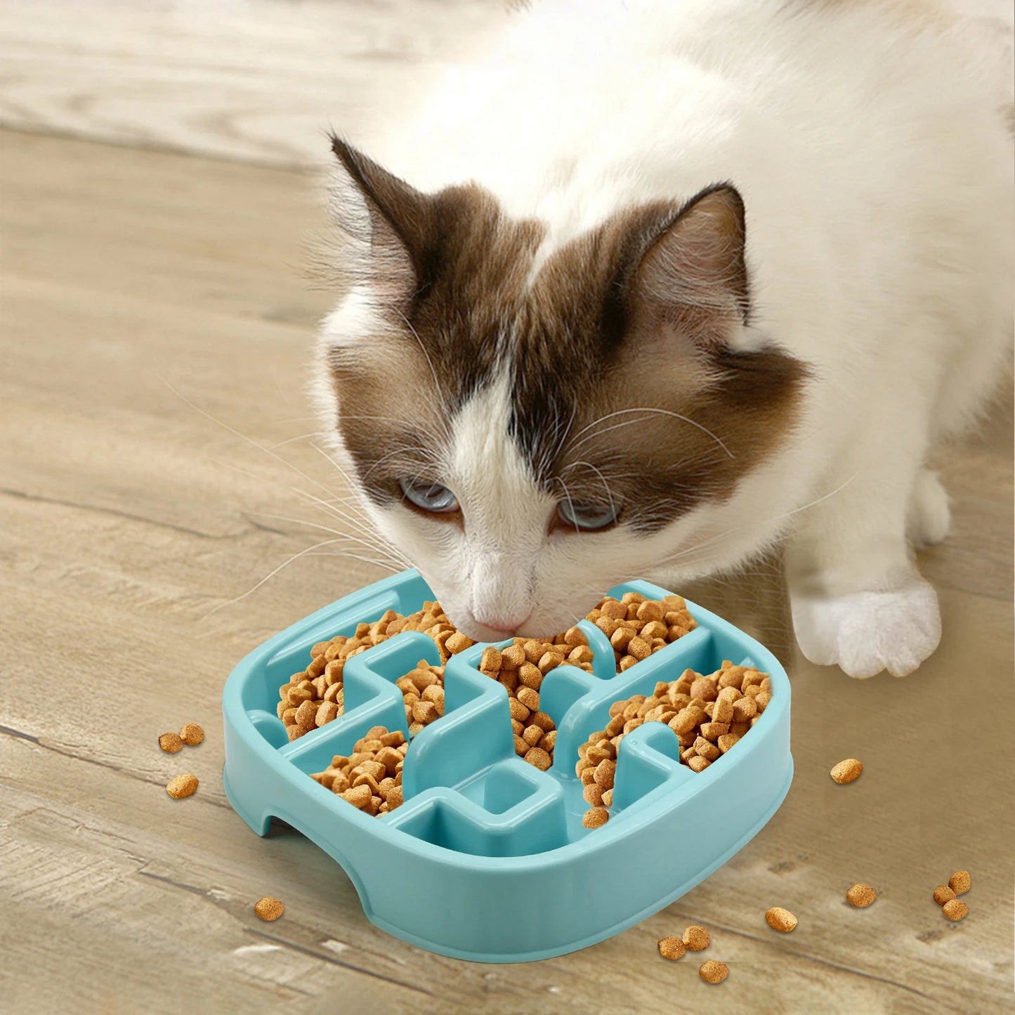 Dog Slow Feeder Bowl