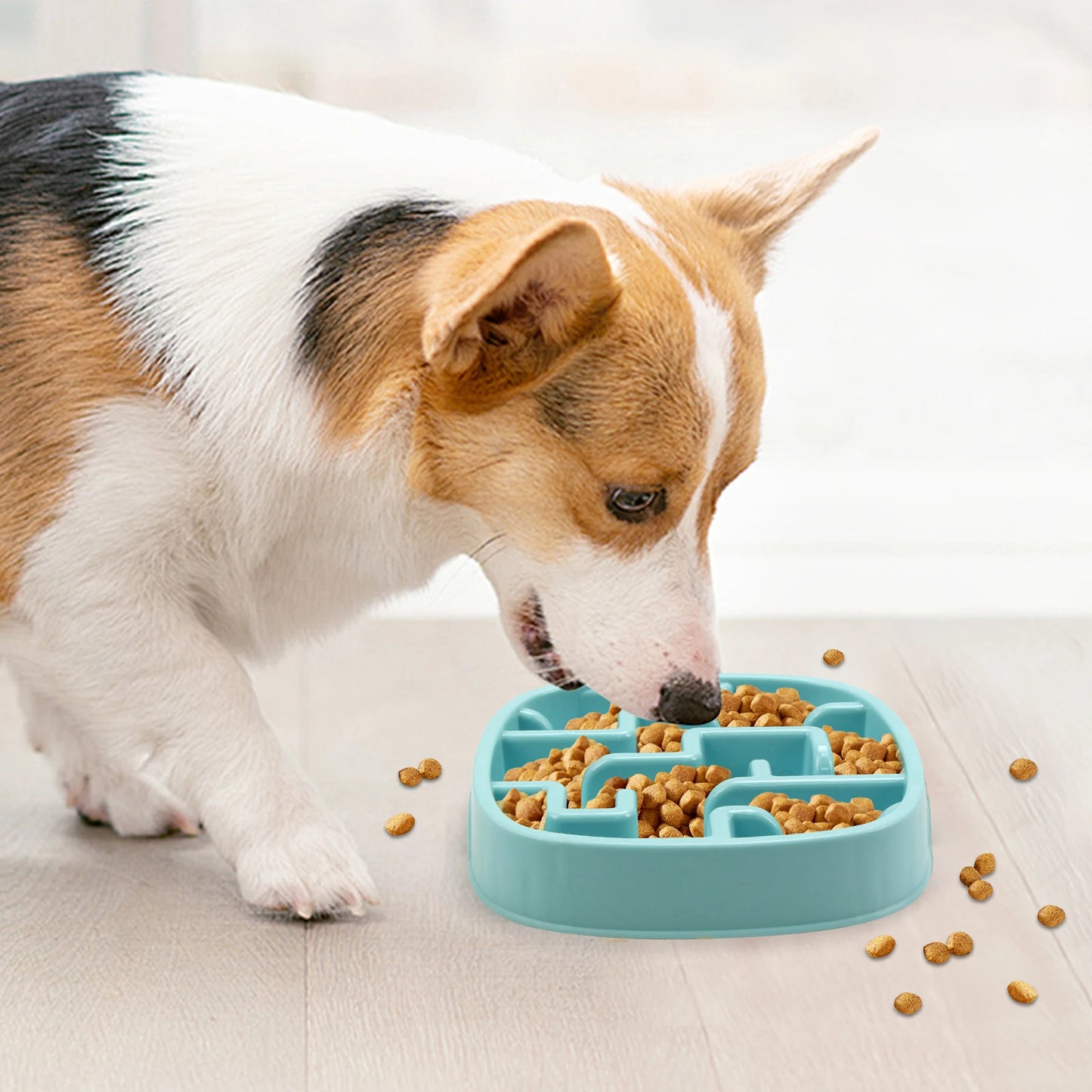 Dog Slow Feeder Bowl