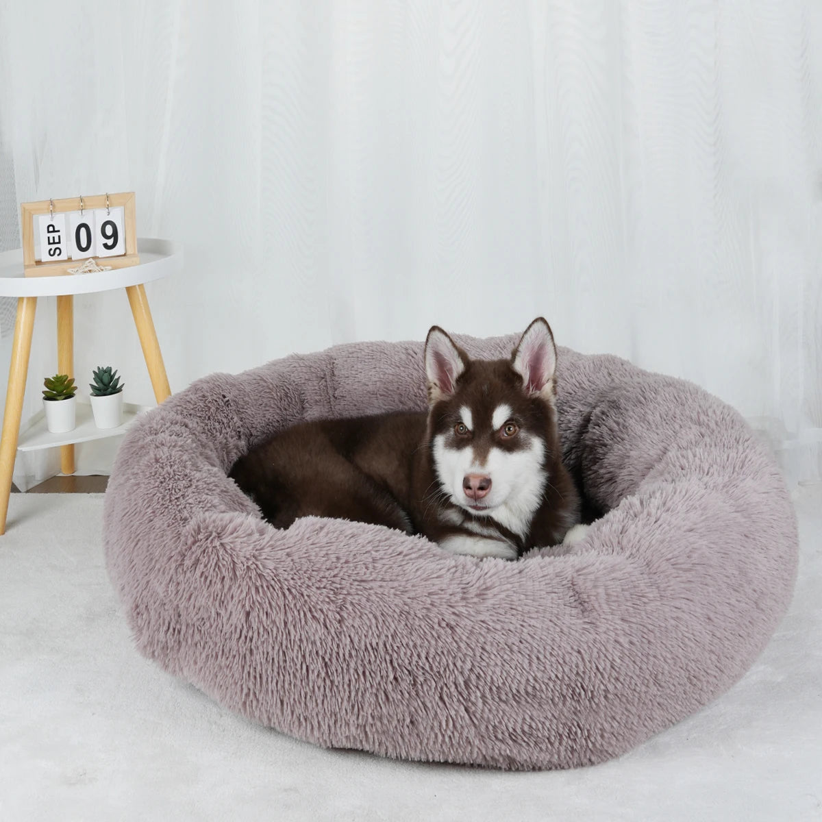 Bed for Dogs Donut Big Large Round Basket Plush Beds