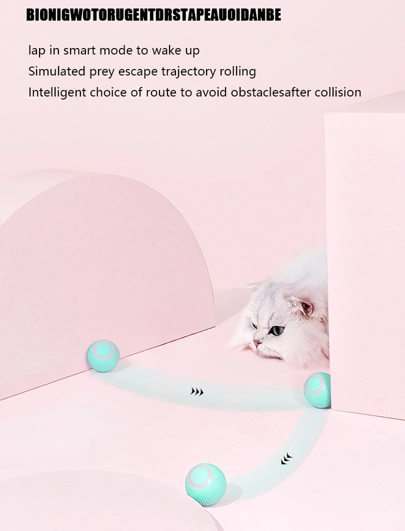 Cat Smart Interactive Car Toy Automatic Moving