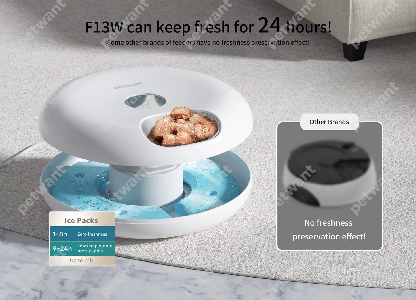 Petwant Cat Smart Food Dispenser APP WIFI Remote