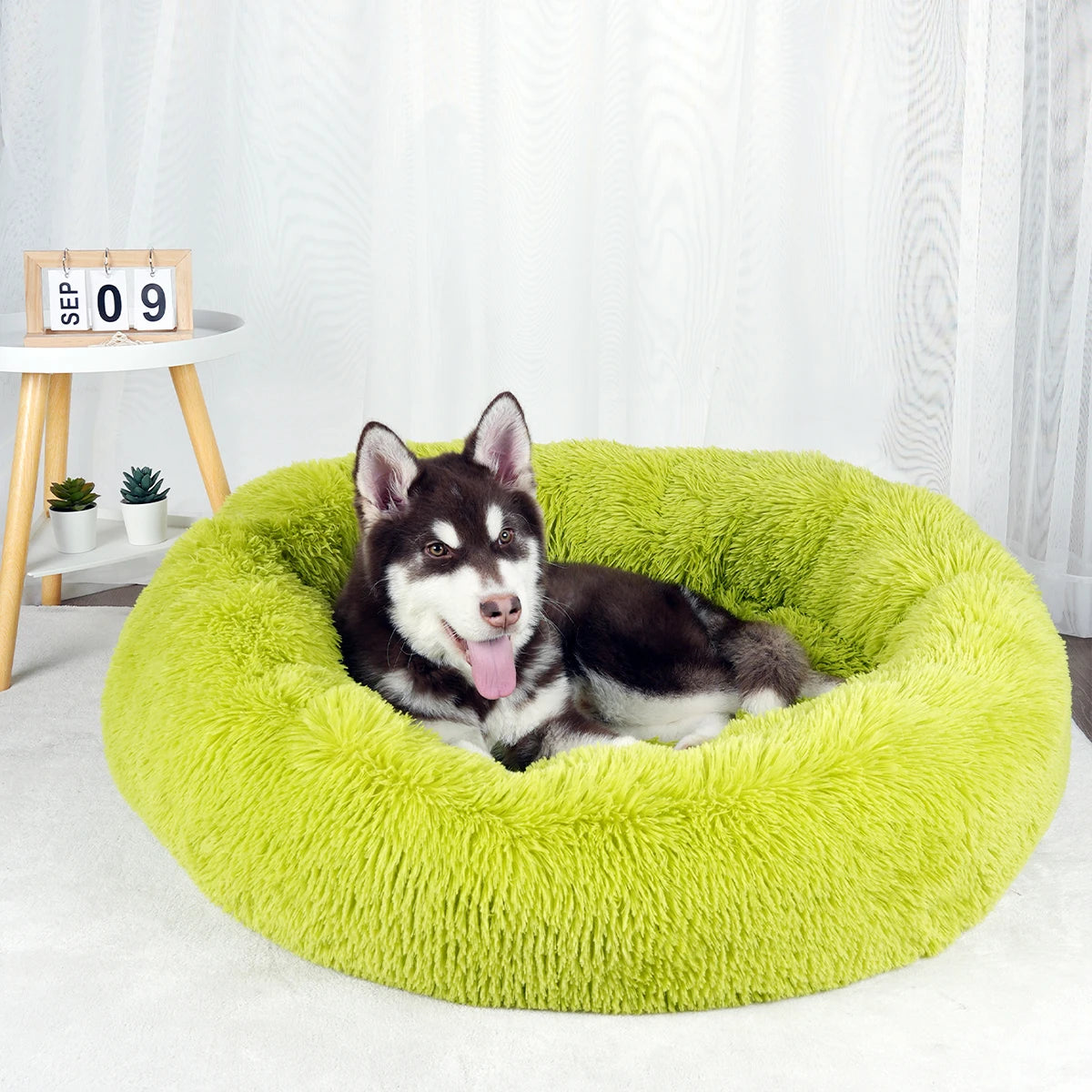 Bed for Dogs Donut Big Large Round Basket Plush Beds