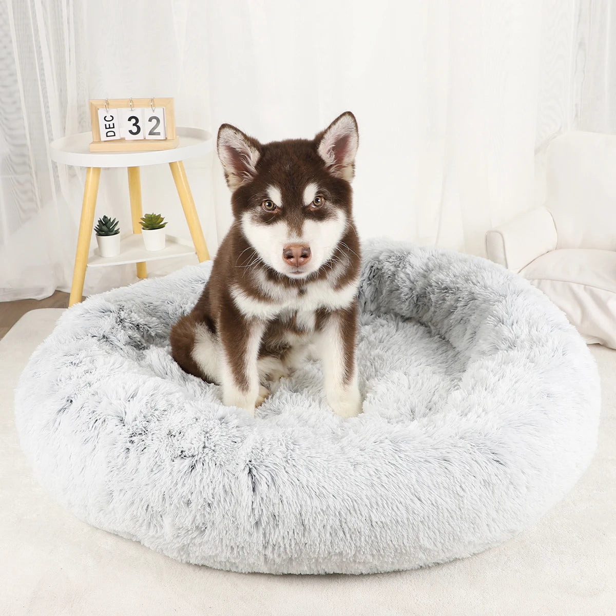 Bed for Dogs Donut Big Large Round Basket Plush Beds