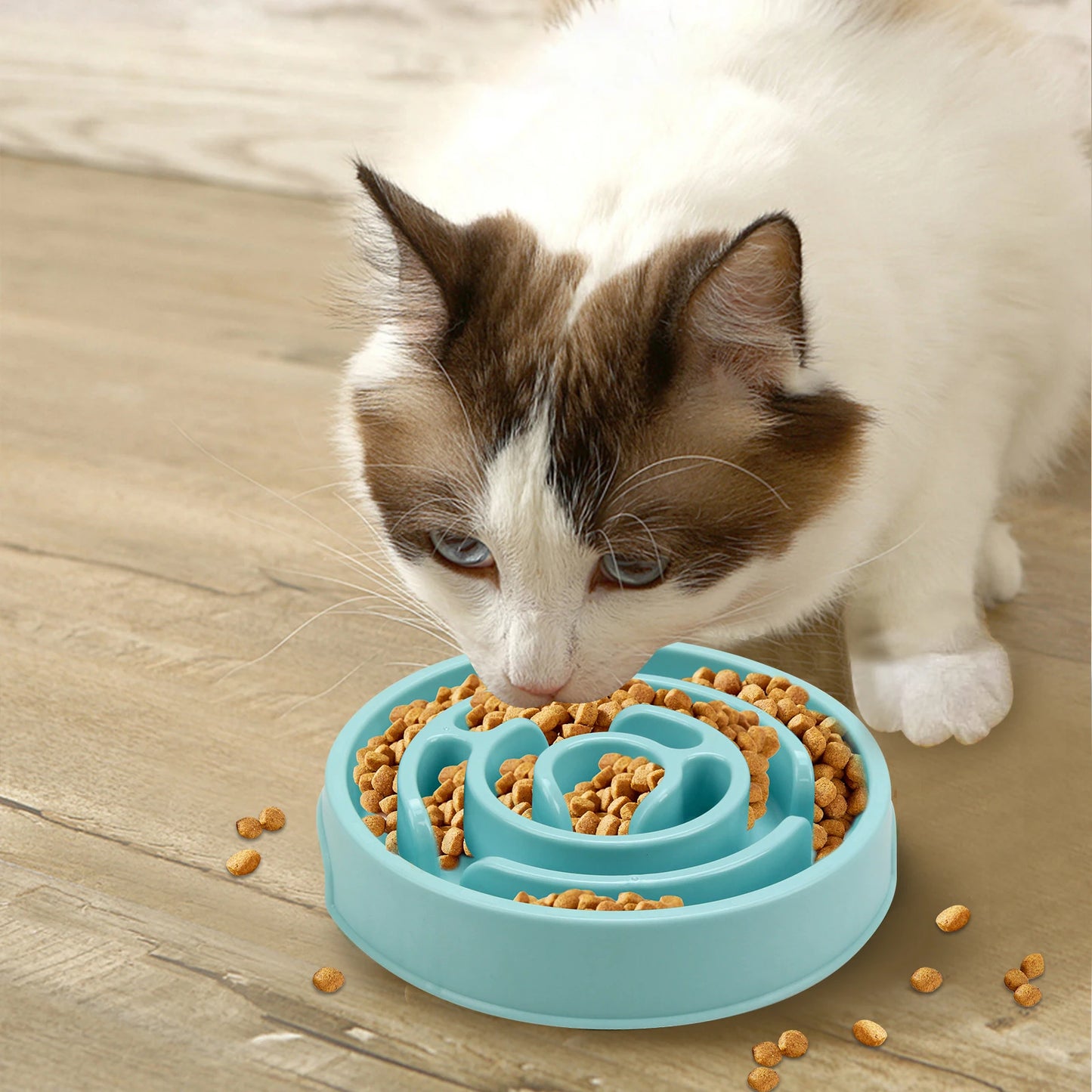 Dog Slow Feeder Bowl