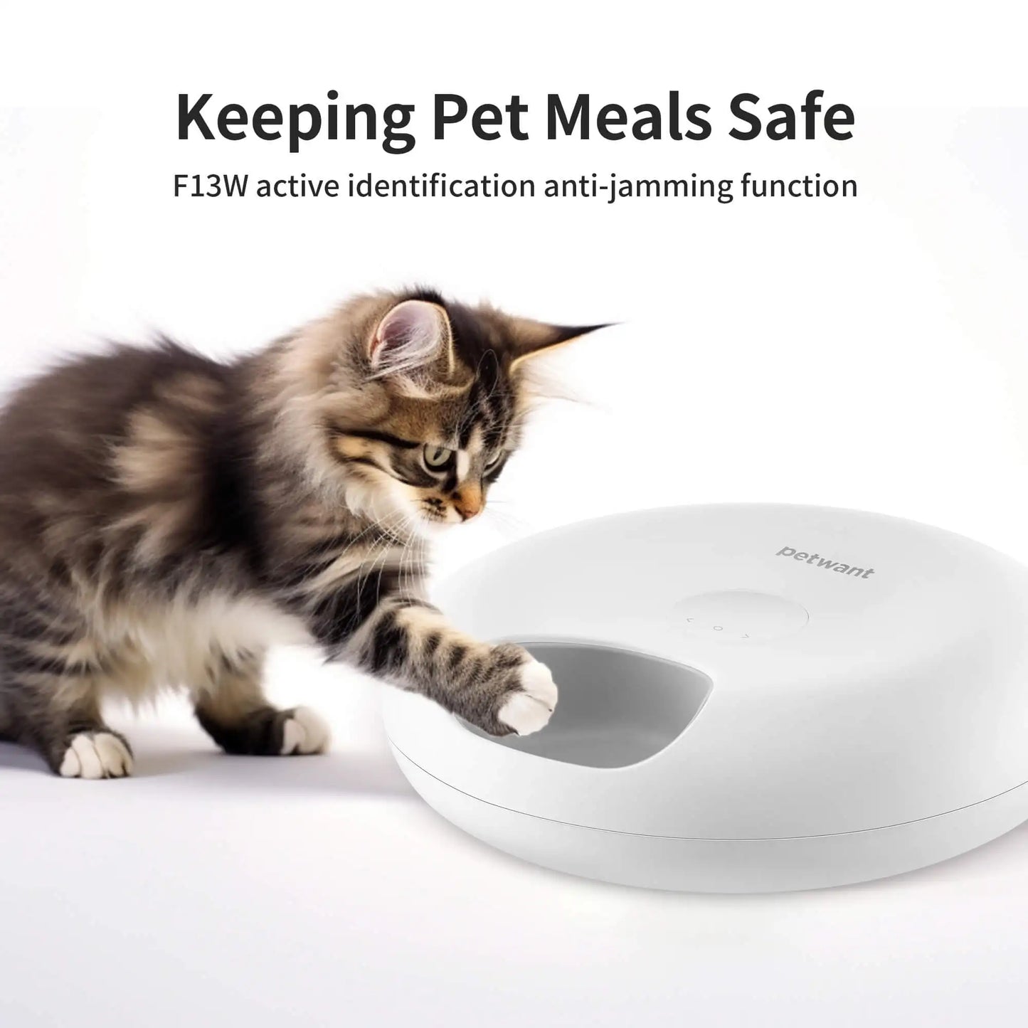 Petwant Cat Smart Food Dispenser APP WIFI Remote