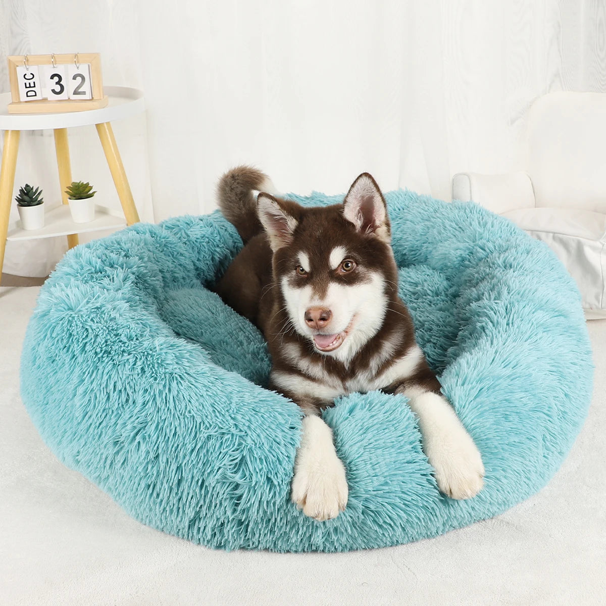 Bed for Dogs Donut Big Large Round Basket Plush Beds