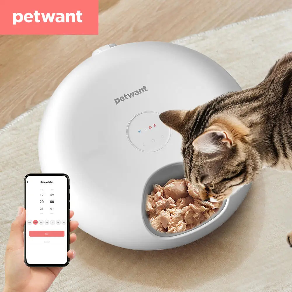 Petwant Cat Smart Food Dispenser APP WIFI Remote