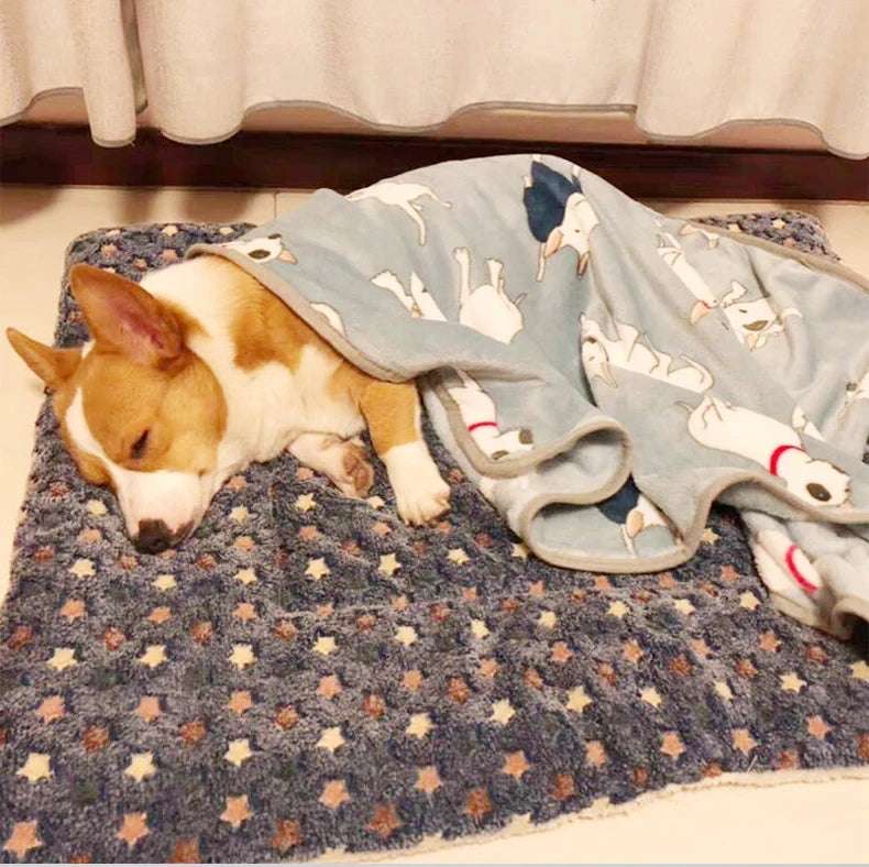 Flannel Bed for Pets Sleeping Mat Blanket