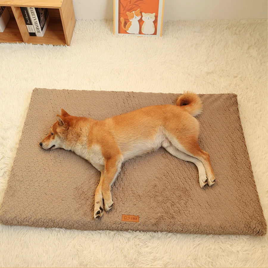 Short Plush Removable Washable Pet Bed,