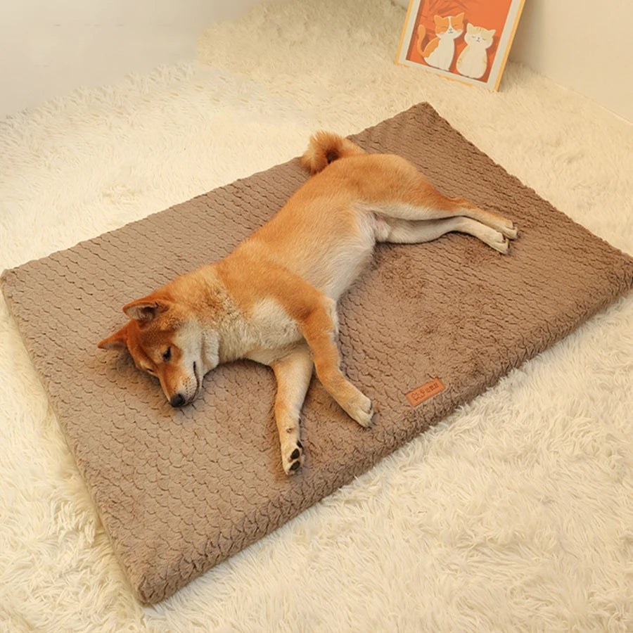 Short Plush Removable Washable Pet Bed,