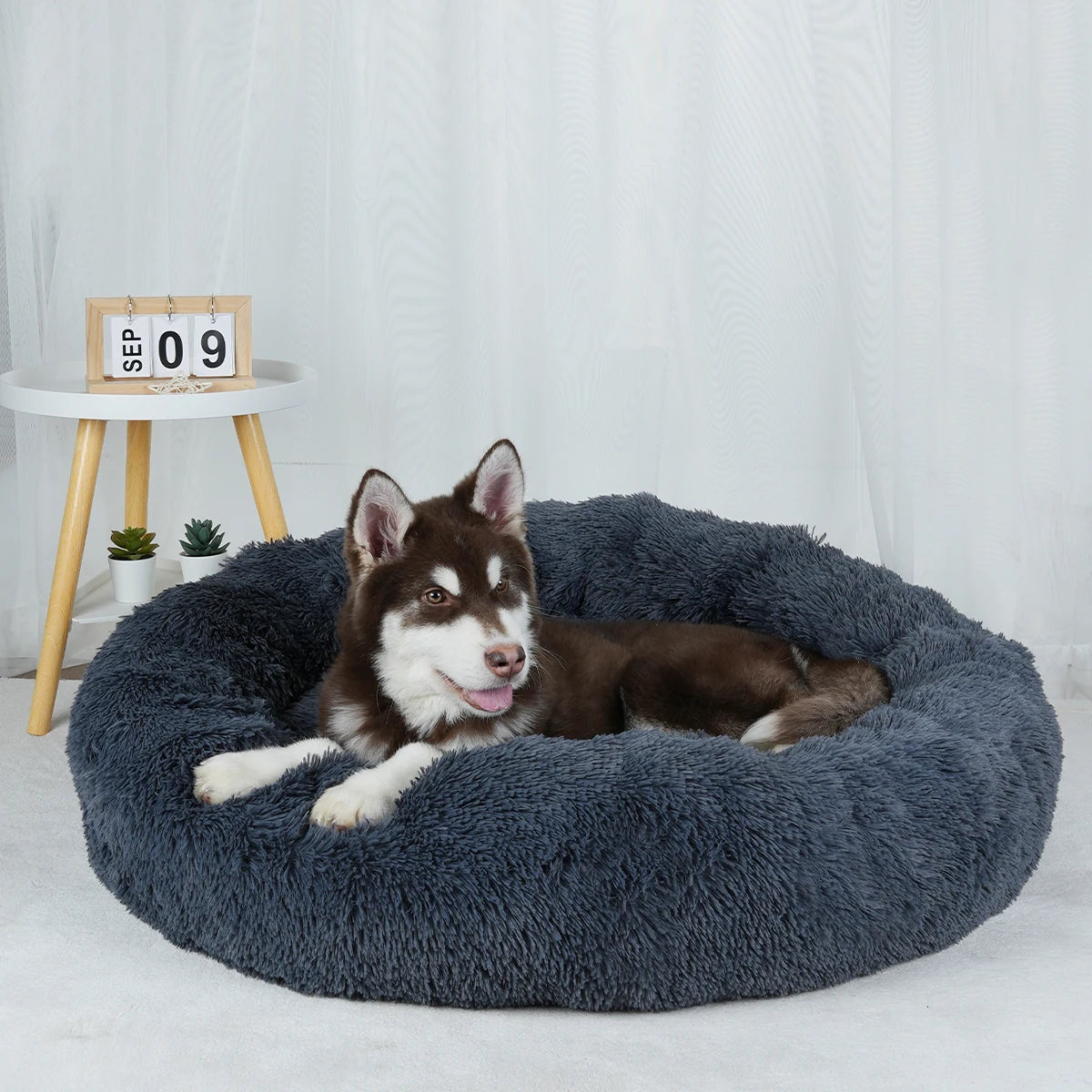 Bed for Dogs Donut Big Large Round Basket Plush Beds