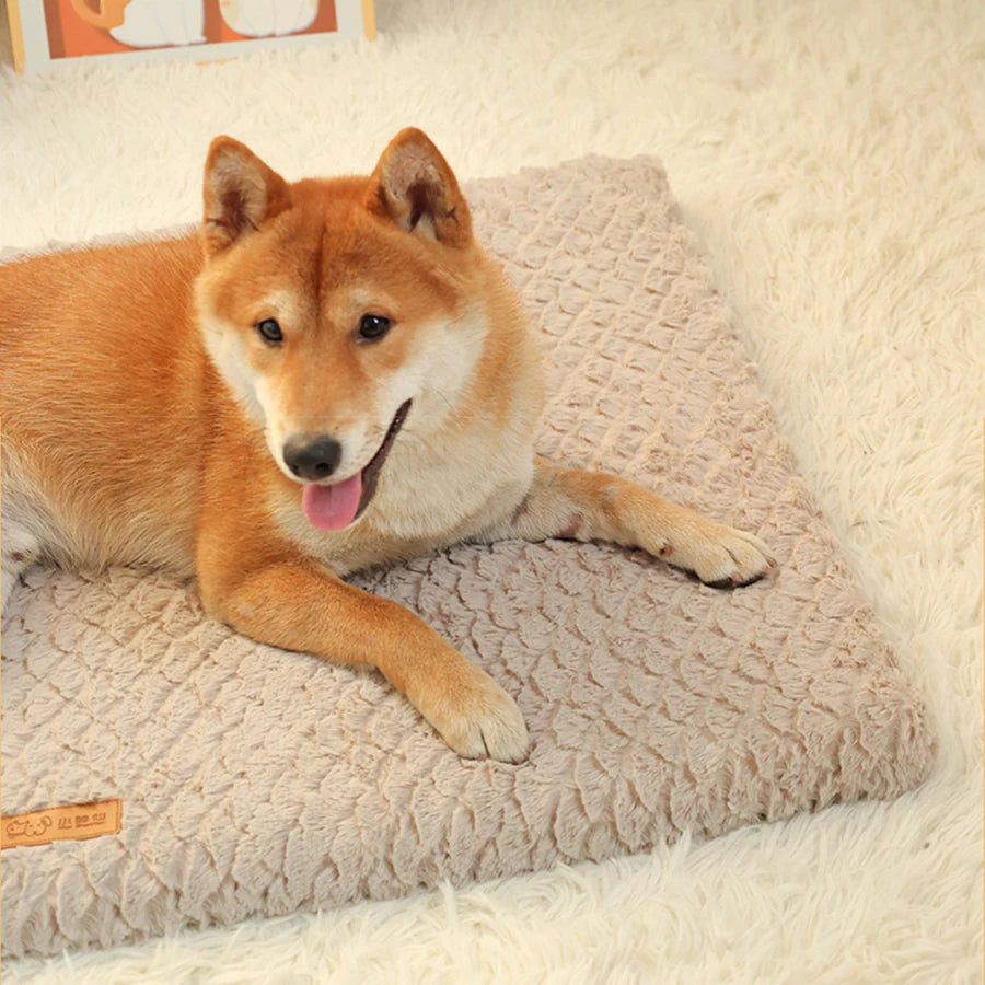 Short Plush Removable Washable Pet Bed,