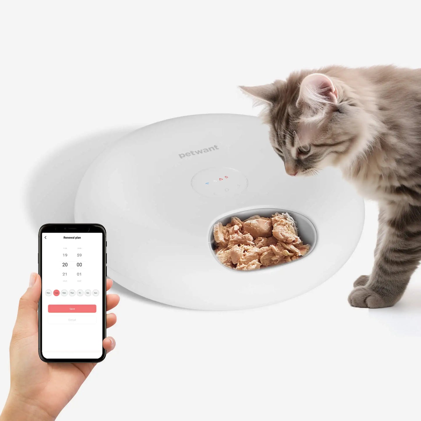 Petwant Cat Smart Food Dispenser APP WIFI Remote