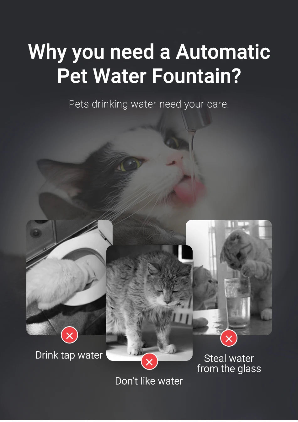 ROJECO Transparent Cat Water Fountain Automatic Smart Purifier