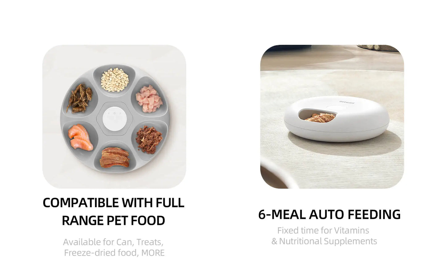 Petwant Cat Smart Food Dispenser APP WIFI Remote