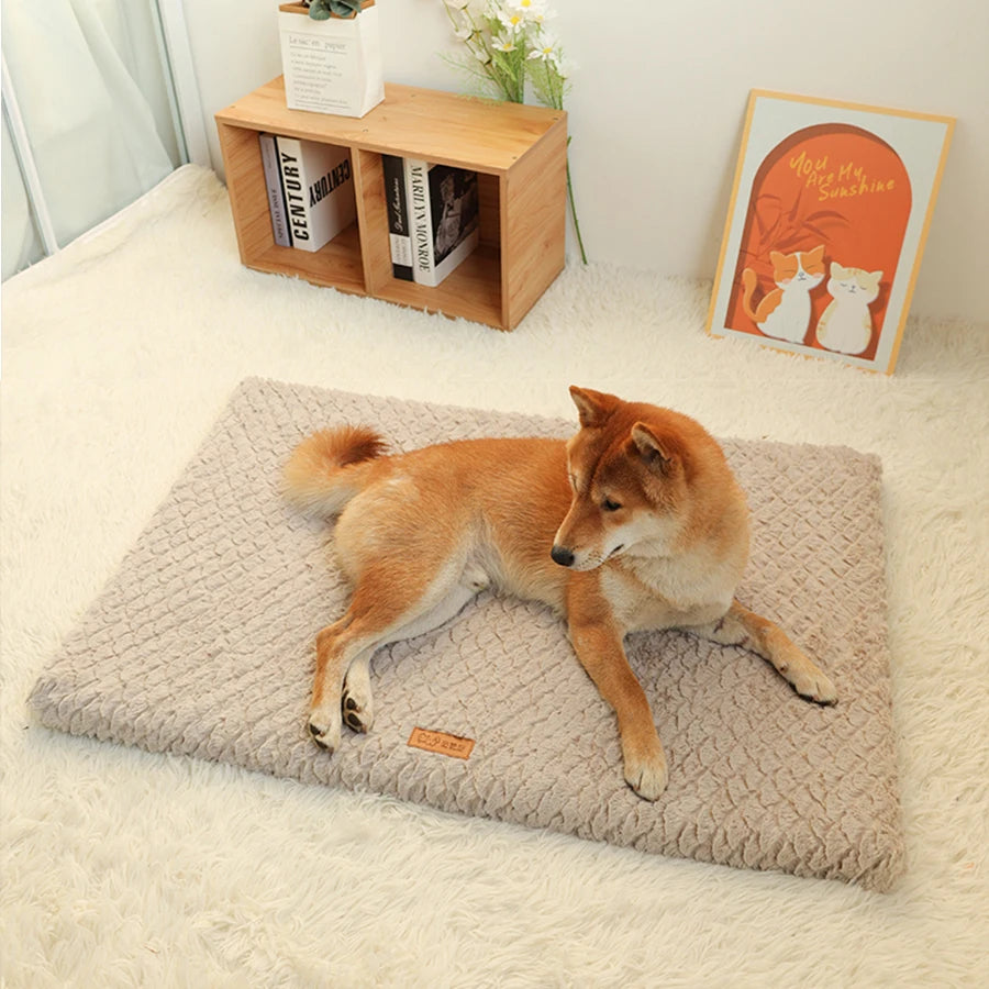 Short Plush Removable Washable Pet Bed,