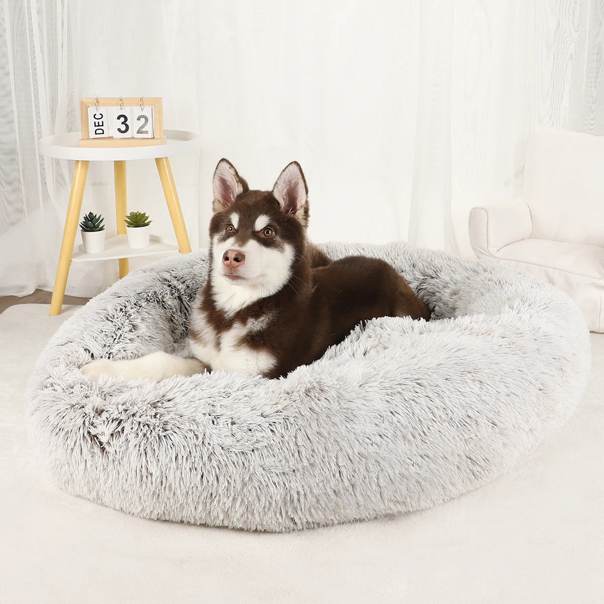 Bed for Dogs Donut Big Large Round Basket Plush Beds