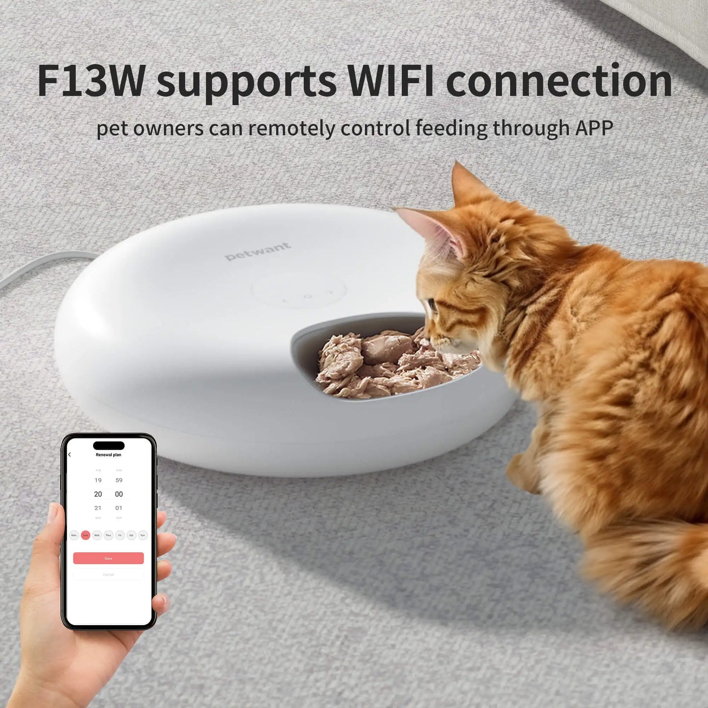 Petwant Cat Smart Food Dispenser APP WIFI Remote