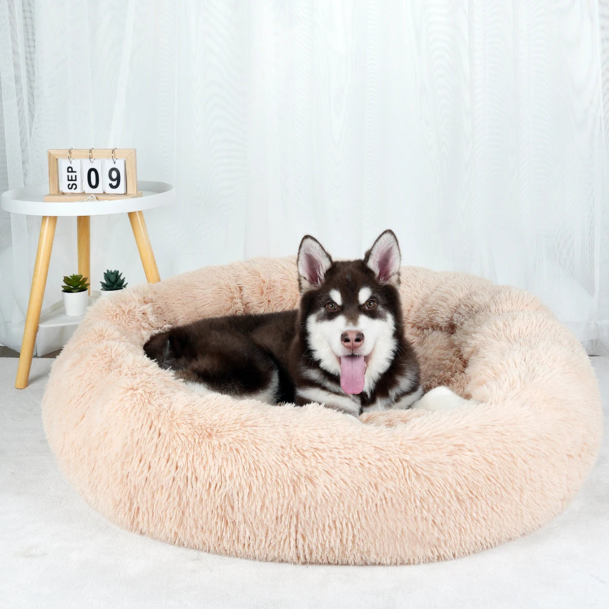 Bed for Dogs Donut Big Large Round Basket Plush Beds